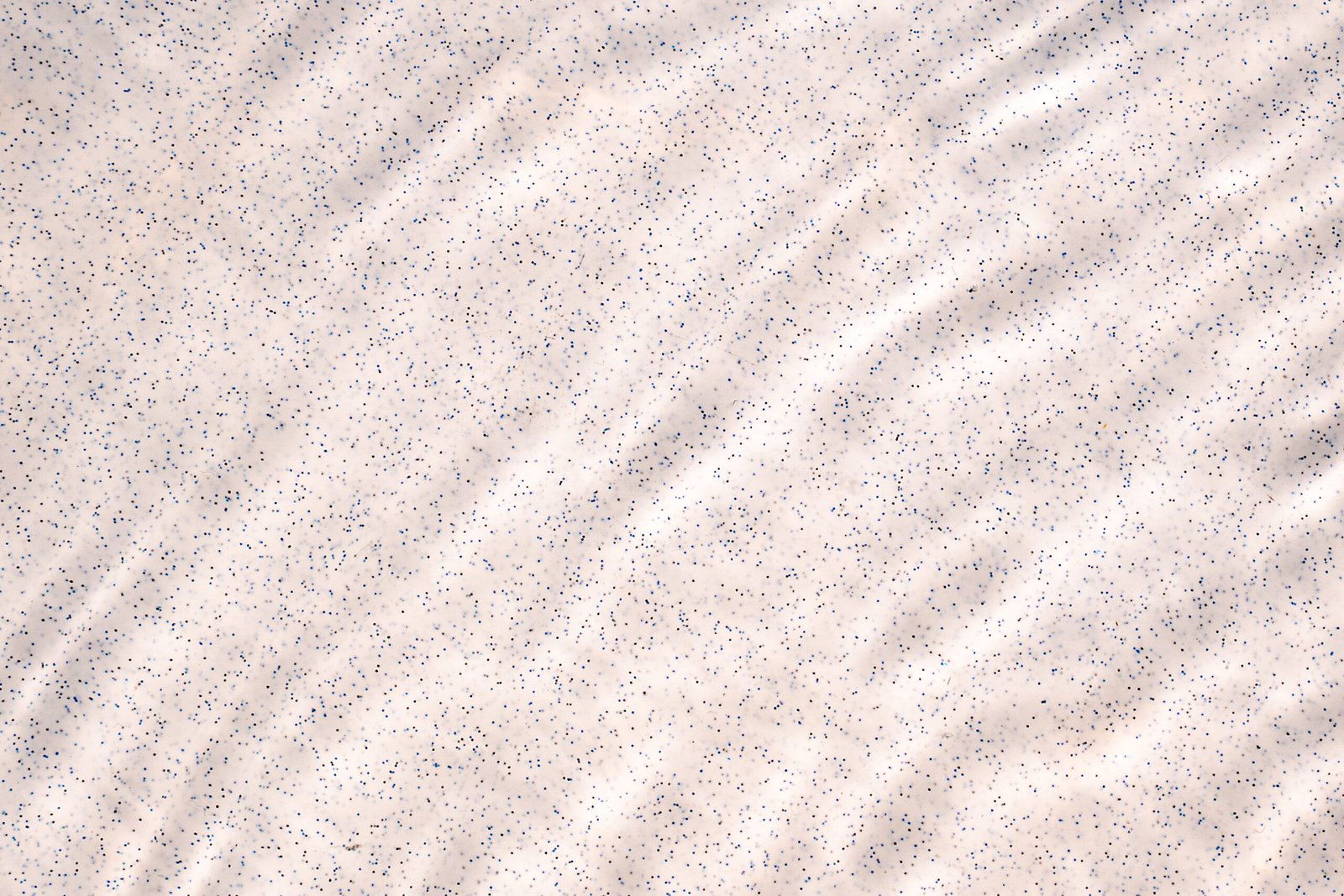 White Shadow under water